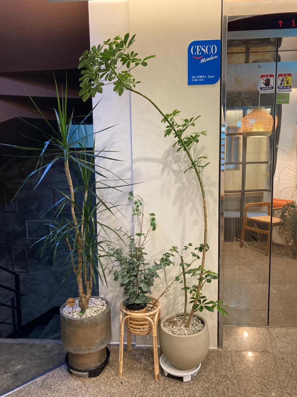 Hotel Less Seoul Bagian luar foto